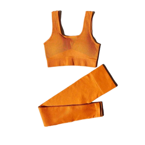 CONJUNTO FITNESS FEMININO SEM COSTURA- Legging e Top Com Alças Duplas